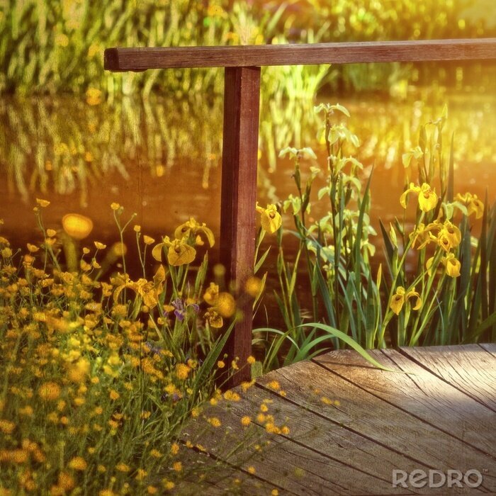 Bild Fantasy-Teich mit gelben Blumen