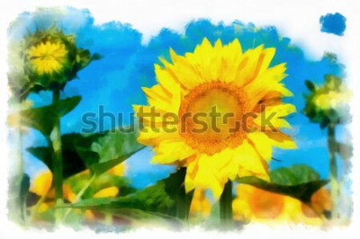 Bild Farbenfrohe Sonnenblumen in Aquarell
