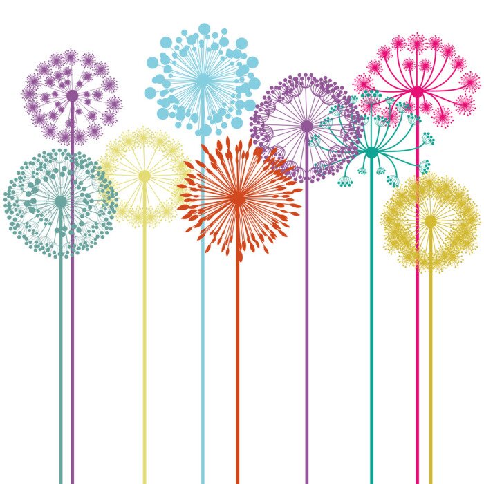 Bild Farbige Pusteblumen auf weißem Hintergrund