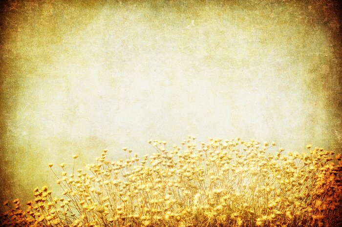 Bild Feld auf Vintage Hintergrund