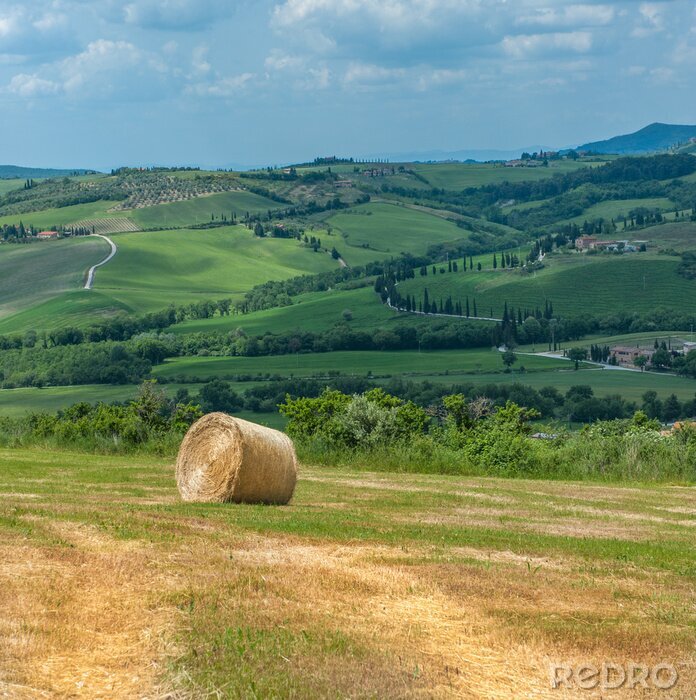 Bild Feld in der Toskana