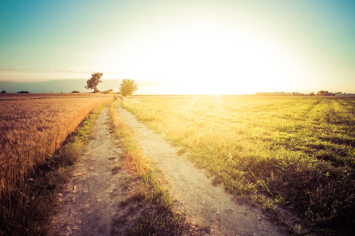Bild Feld in Italien