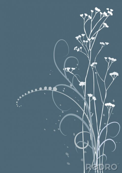 Bild Feldblumen auf blauem Hintergrund