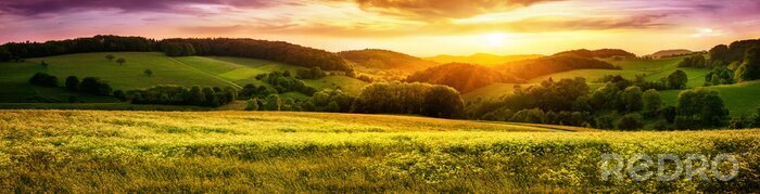 Bild Feldlandschaft bei Sonnenuntergang