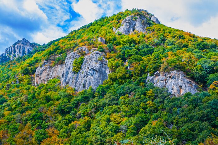 Bild Felsenberge und Bäume