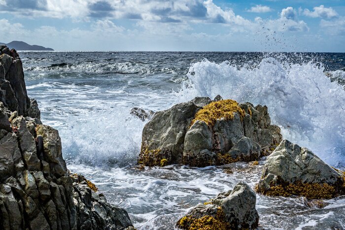 Bild Felsstein im Wasser