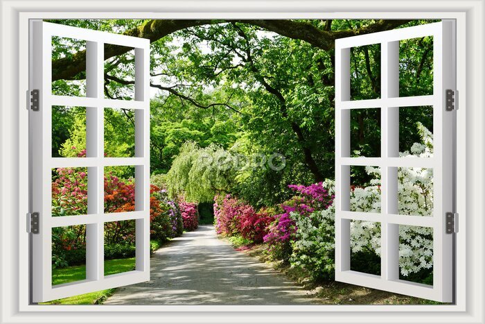 Bild Fenster mit Blick auf den botanischen Garten