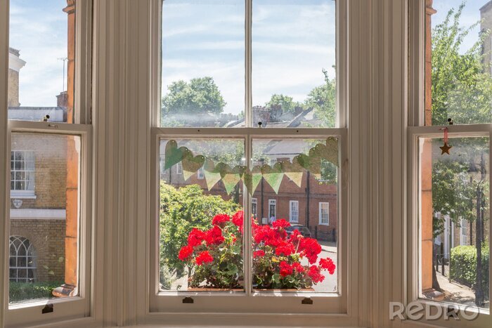 Bild Fenster mit Geranienblüten