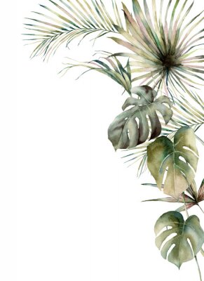 Fensterblatt und Palmen