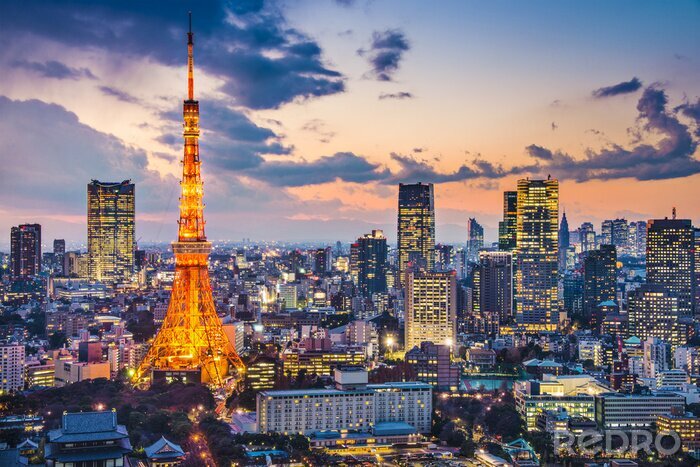 Bild Finanzviertel mit Tokyo Tower bei Nacht