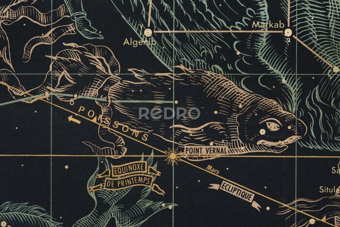 Bild Fische Horoskop Sternkonstellation