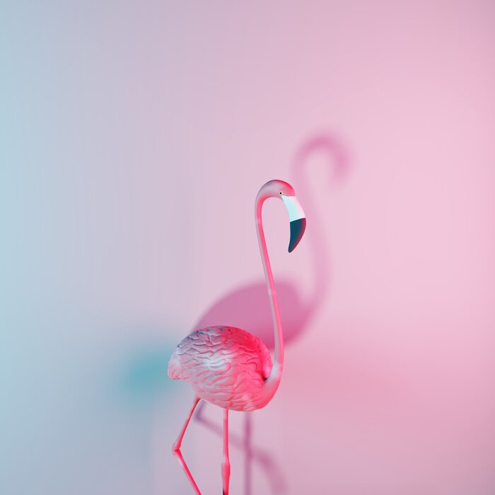 Bild Flamingo auf Neon-Hintergrund