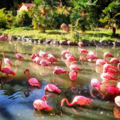 Bild Flamingos im Teich