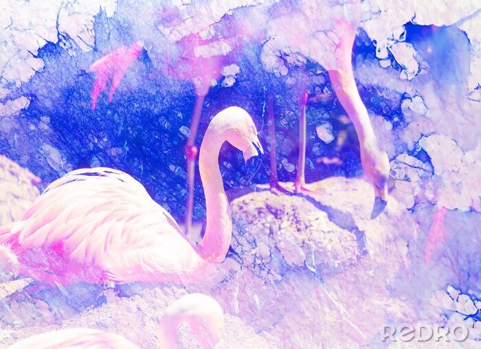 Bild Flamingos und Aquarell-Flecken