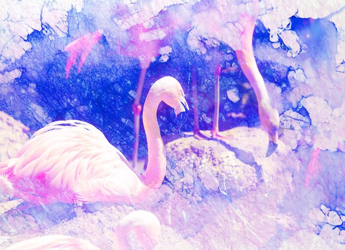 Bild Flamingos und Aquarell-Flecken