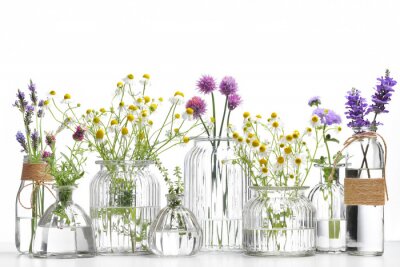 Bild Flasche ätherisches Öl mit Kräutern