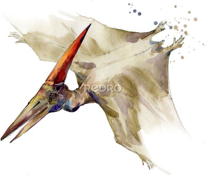 Bild Fliegender Dinosaurier mit Aquarellfarben gemalt