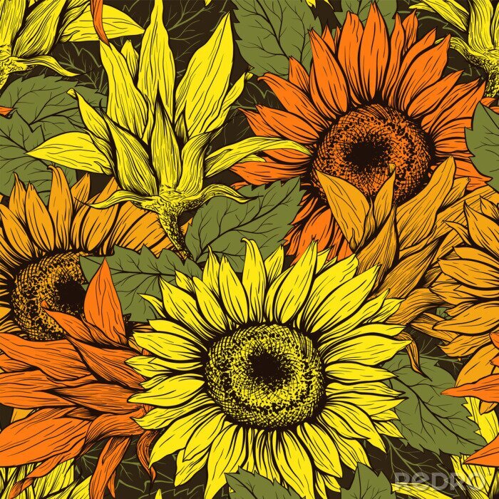 Bild Florales Muster mit Sonnenblumen