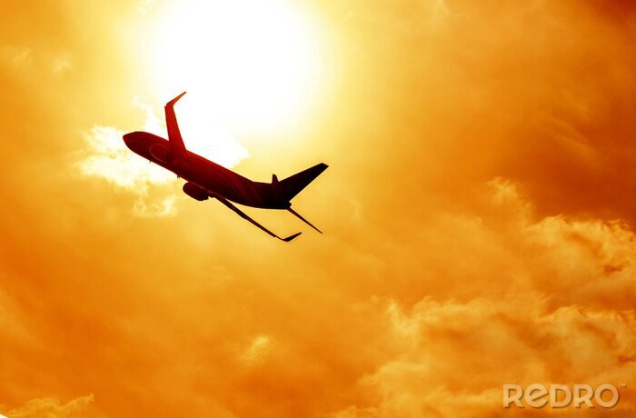 Bild Flugzeug und Sonnenuntergang