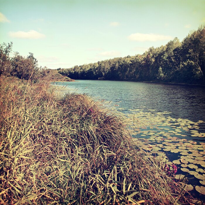 Bild Fluss auf der Sommerlandschaft