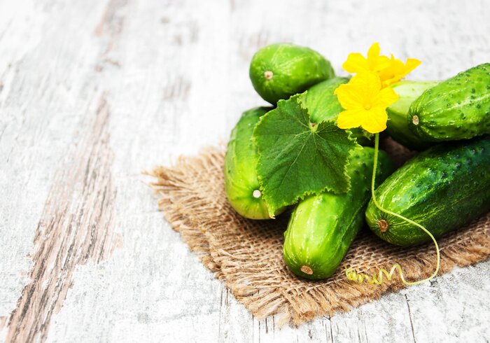 Bild Freilandgurken