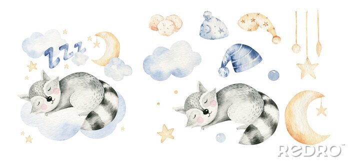 Bild Friedlicher Waschbär schlafend auf einer Wolke