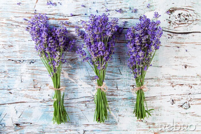 Bild Frischem Lavendel auf Holz