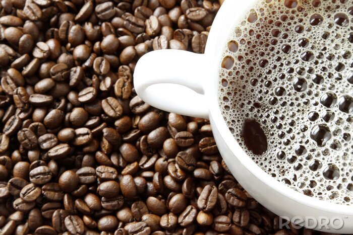 Bild Frischer Kaffee und Bohnen