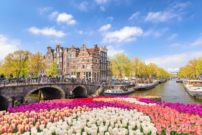 Bild Frühling und bunte Blumen in Amsterdam