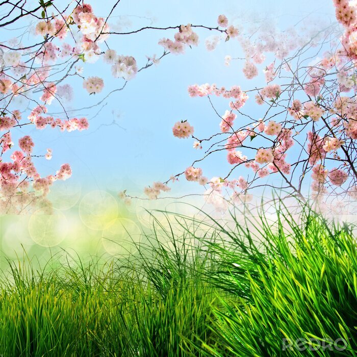 Bild Frühlingshintergrund mit Natur