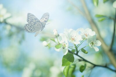 Frühlingslandschaft mit einem Schmetterling
