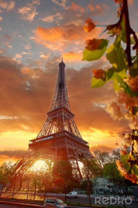 Bild Frühlingsmorgen in Paris