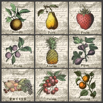 Bild Fruits Collection