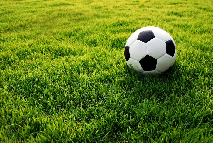 Bild Fußball auf grasbewachsenem Feld