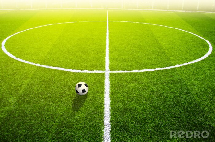 Bild Fußball Rasen und weiße Linien