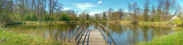 Bild Fußgängerbrücke über den Teich im Park