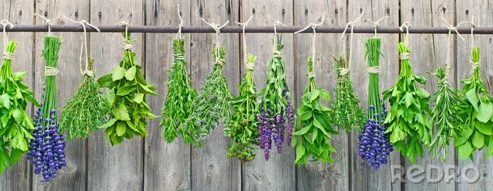 Bild Gartenkräutersträuße