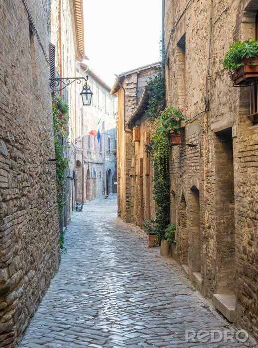 Bild Gasse mit Blumen bei Fenstern