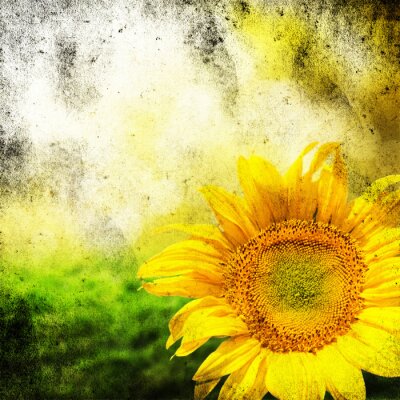 Bild Gealterte Fotografie mit Sonnenblume