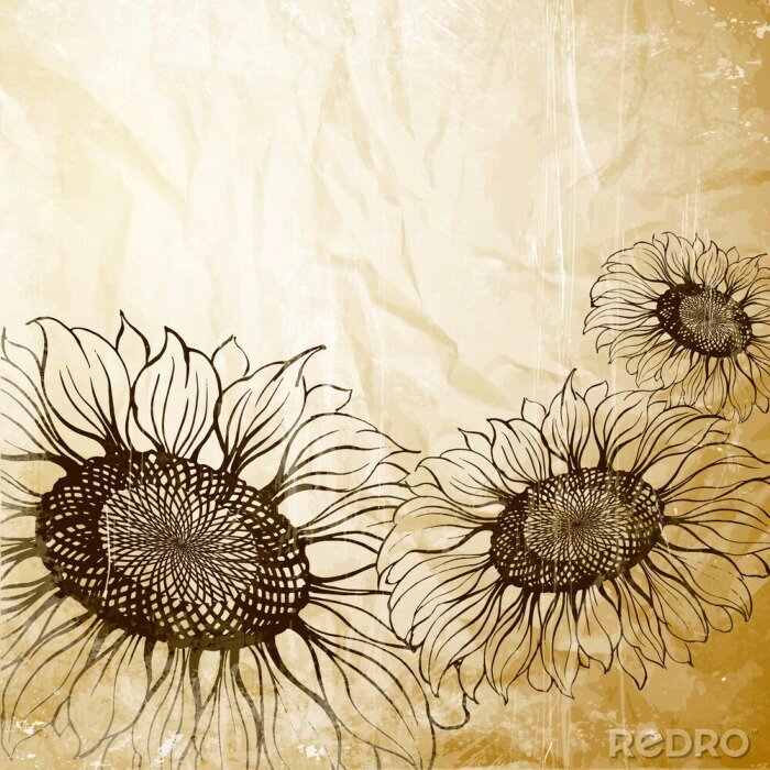 Bild Gealterte Textur mit Sonnenblumen