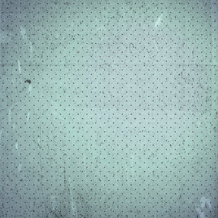 Bild Gealtertes Muster mit Punkten