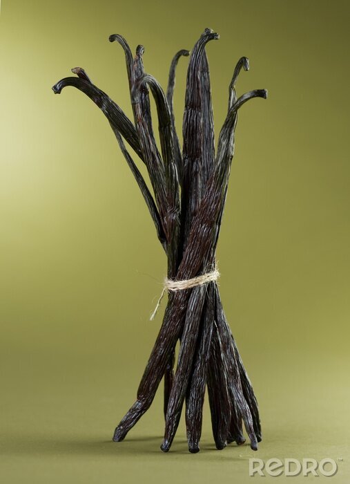 Bild Gebundene Vanillestangen