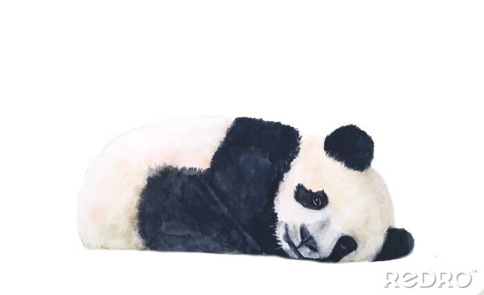 Bild Gedankenverlorener Panda Aquarell