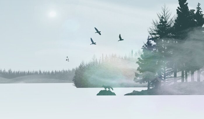 Bild Gefrorenen See im Winter umgeben von Wald