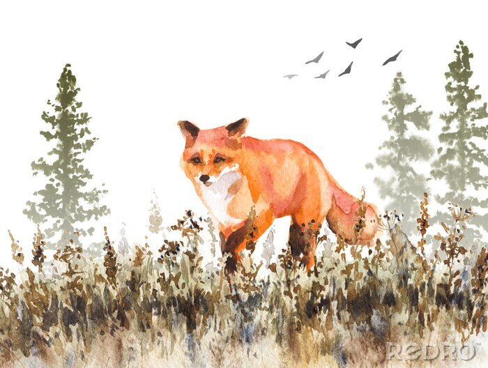 Bild Gehende rote Fox-Skizze