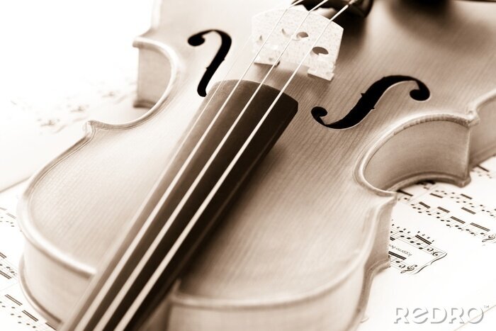 Bild Geige auf einer Partitur