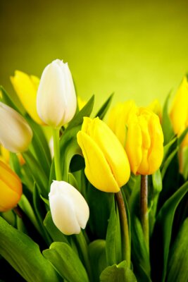 Gelbe Blumen in einem Strauß