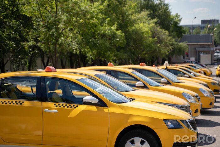 Bild Gelbe Taxis in der Reihe