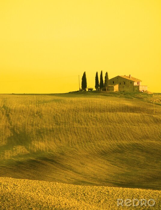 Bild Gelbe toskanische Landschaft