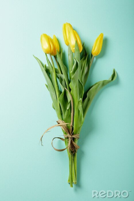 Bild Gelbe Tulpen mit Schnur gebunden
